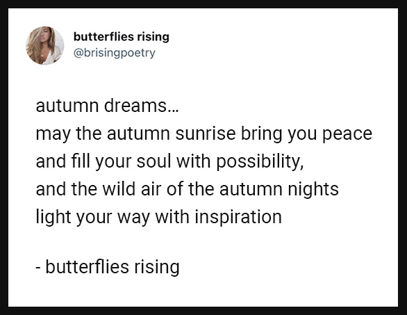 autumn dreams... may the autumn sunrise bring you peace and fill your soul with possibility, and the wild air of the autumn nights light your way with inspiration