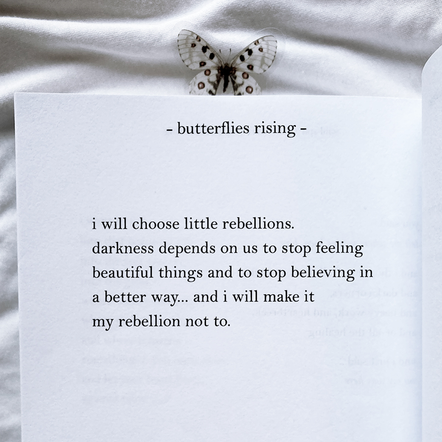 i will choose little rebellions. darkness depends on us to stop feeling beautiful things and to stop believing in a better way