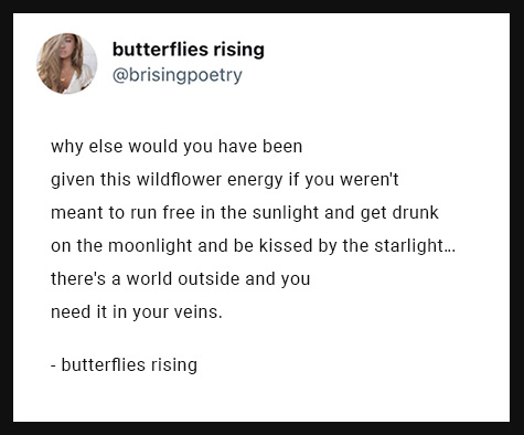 why else would you have been given this wildflower energy if you weren't meant to run free in the sunlight