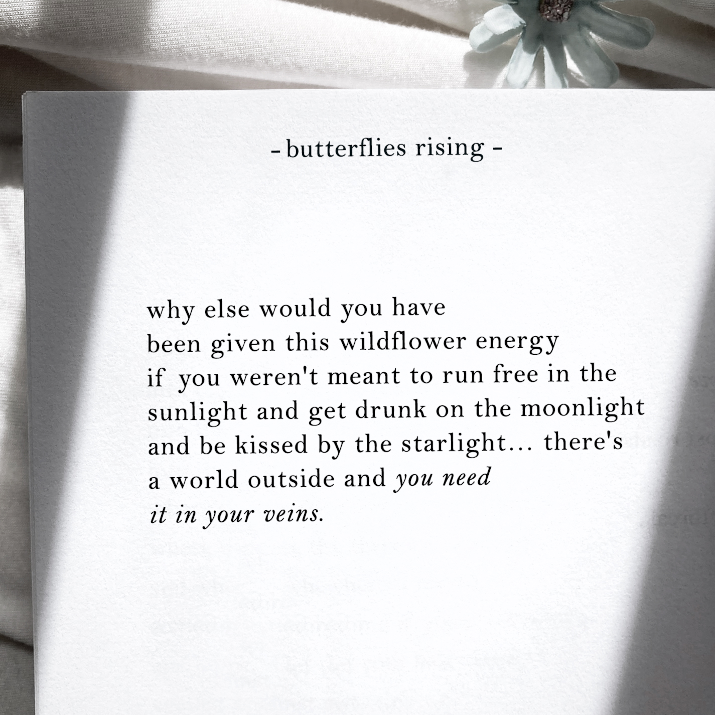 why else would you have been given this wildflower energy