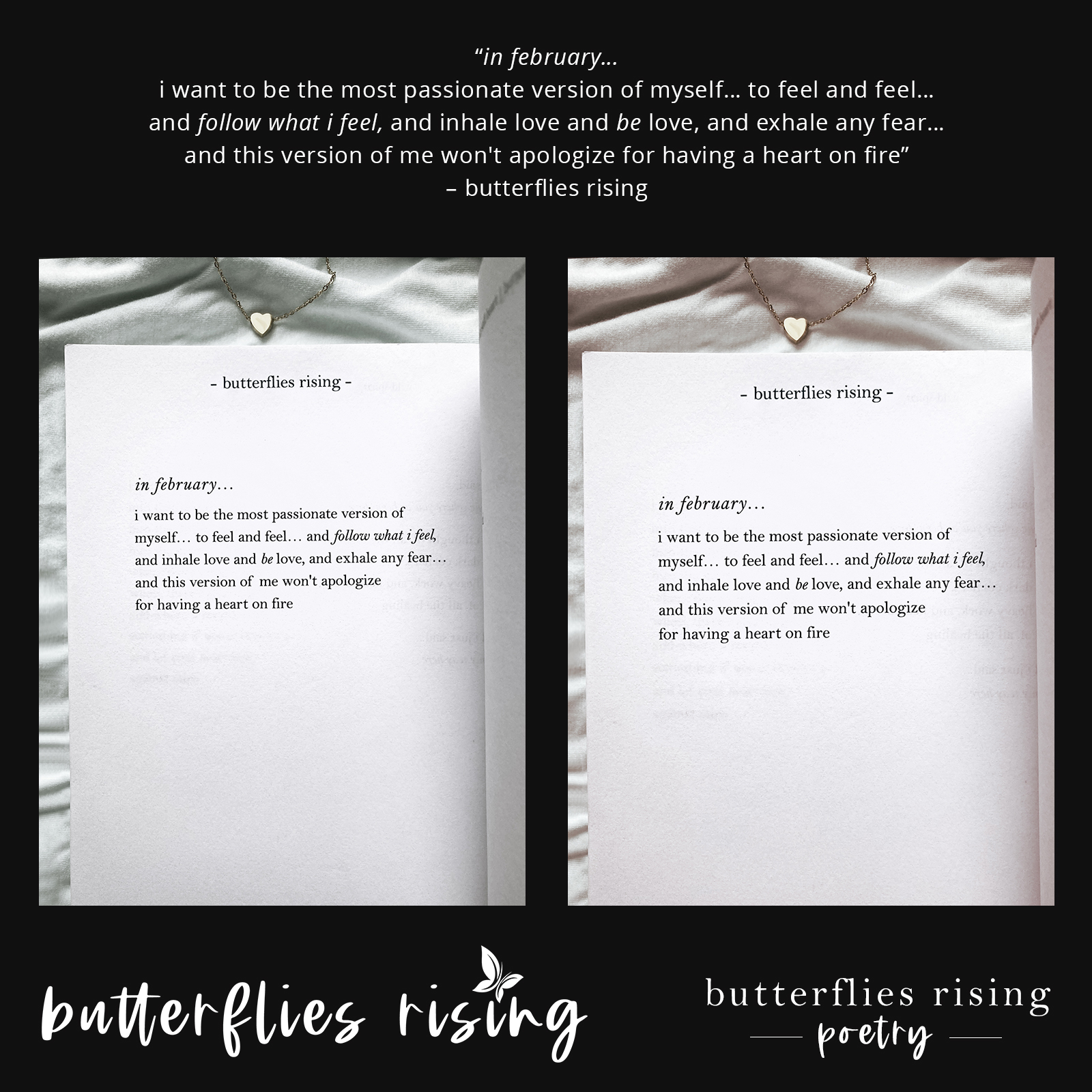 in february… i want to be the most passionate version of myself… to feel and feel